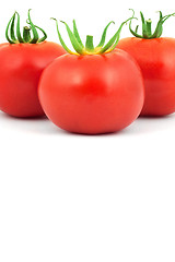 Image showing Tomatos