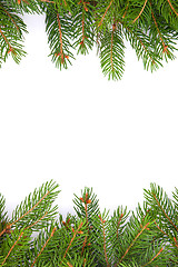 Image showing Christmas green  framework
