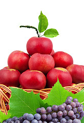 Image showing 
Basket of apples