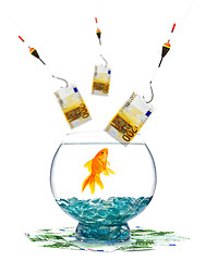 Image showing Goldfish