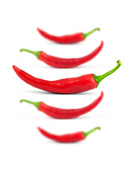 Image showing Red peppers