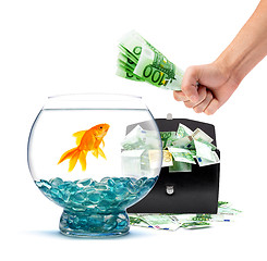 Image showing Goldfish with money 