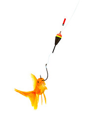 Image showing Goldfishes and cat