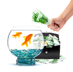 Image showing Goldfish with money