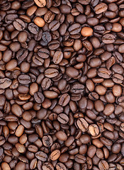 Image showing Background of coffee bean
