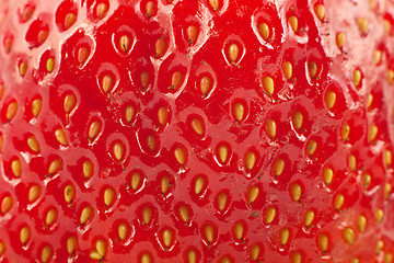 Image showing Detailed surface of strawberry