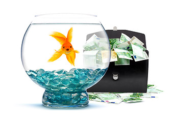 Image showing Goldfish with money 