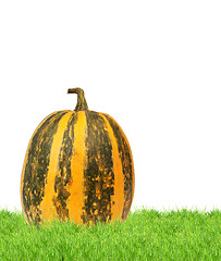 Image showing Yellow pumpkin 
