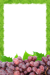 Image showing Grape