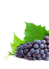 Image showing Grape