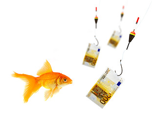 Image showing Goldfish