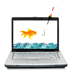 Image showing Goldfish in aquarium 