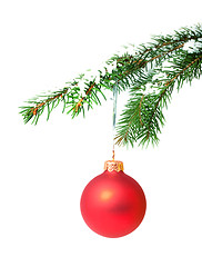 Image showing Branch with a Christmas toy