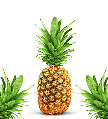 Image showing Ripe pineapple