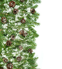 Image showing Christmas background. Eve framework