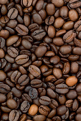 Image showing Background of coffee bean
