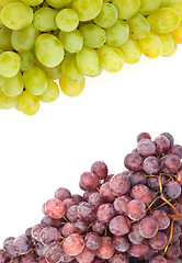 Image showing Grape