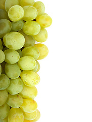 Image showing Grape