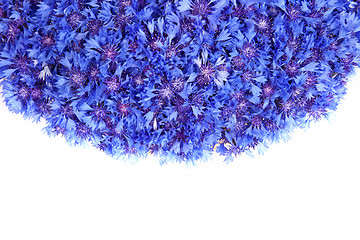 Image showing Beautiful spring flowers blue cornflower on background