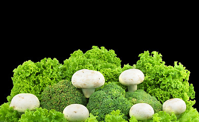 Image showing Champignon on a lettuce