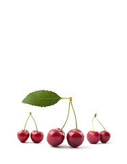 Image showing Red cherries