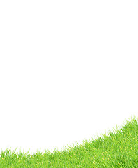 Image showing Isolated green grass