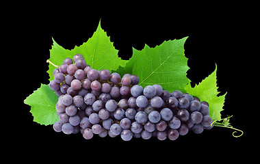 Image showing Grape