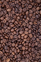 Image showing Background of coffee bean
