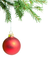 Image showing Branches with a Christmas toy