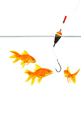 Image showing Fishing