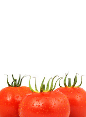 Image showing Tomatos