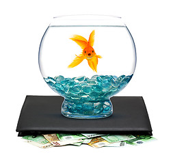 Image showing Goldfish with money 