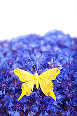 Image showing Spring blue cornflower with yellow butterfly