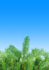 Image showing Christmas green  framework