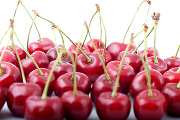 Image showing Red cherries