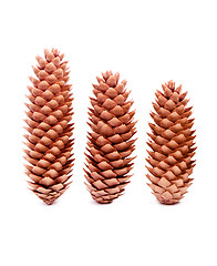 Image showing Cones
