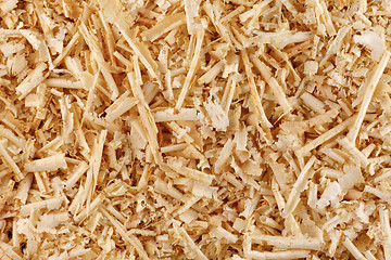 Image showing Sawdust