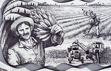 Image showing Agricultural Scene