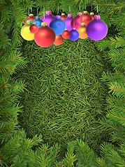 Image showing Christmas spruce  texture