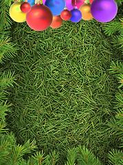 Image showing Christmas spruce  texture