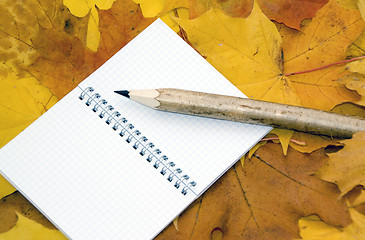 Image showing Autumn leaves, notebook and pen. 