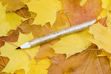 Image showing Maple leaves background and pencil 