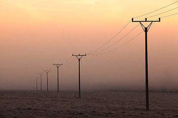 Image showing In the morning mist