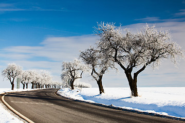 Image showing Empty road