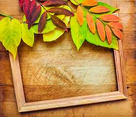 Image showing autumn leaves