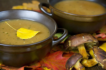 Image showing Mushroom soup