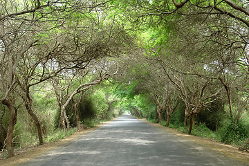 Image showing road to pacific ocean