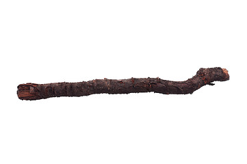 Image showing Tree branch