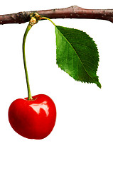 Image showing Sweet cherries