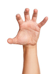 Image showing Man hand